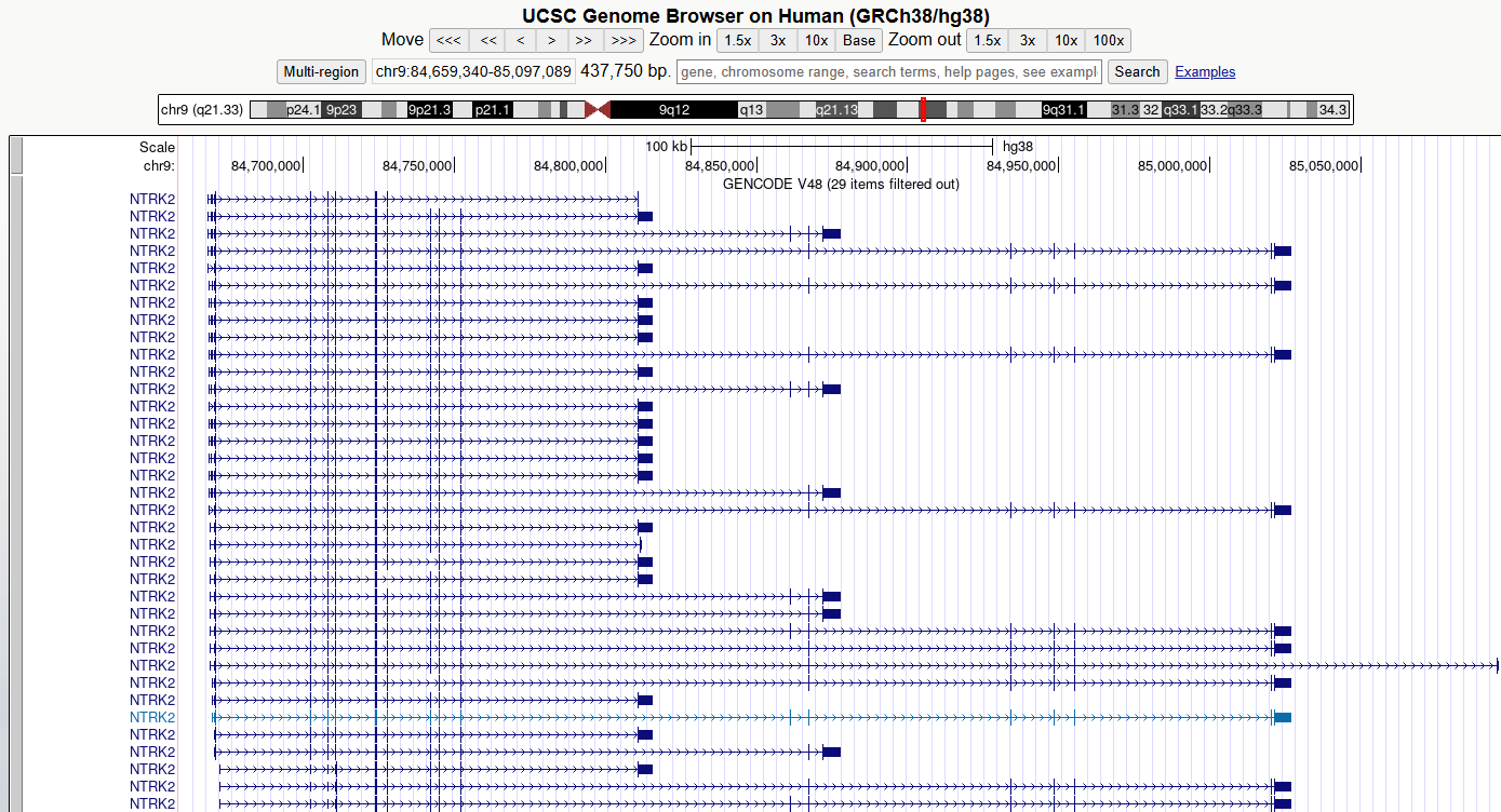 You should now see something like this