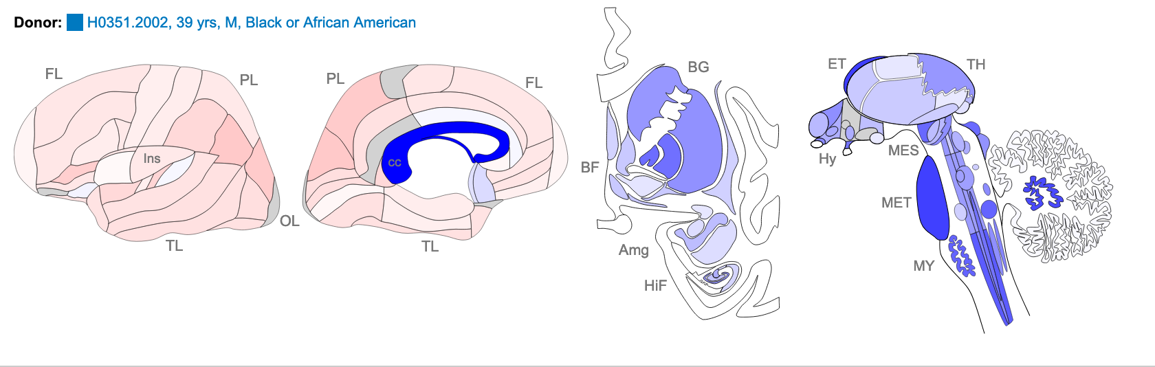 Z score of expression level in Human brain (blue = low expression, red = high expression)