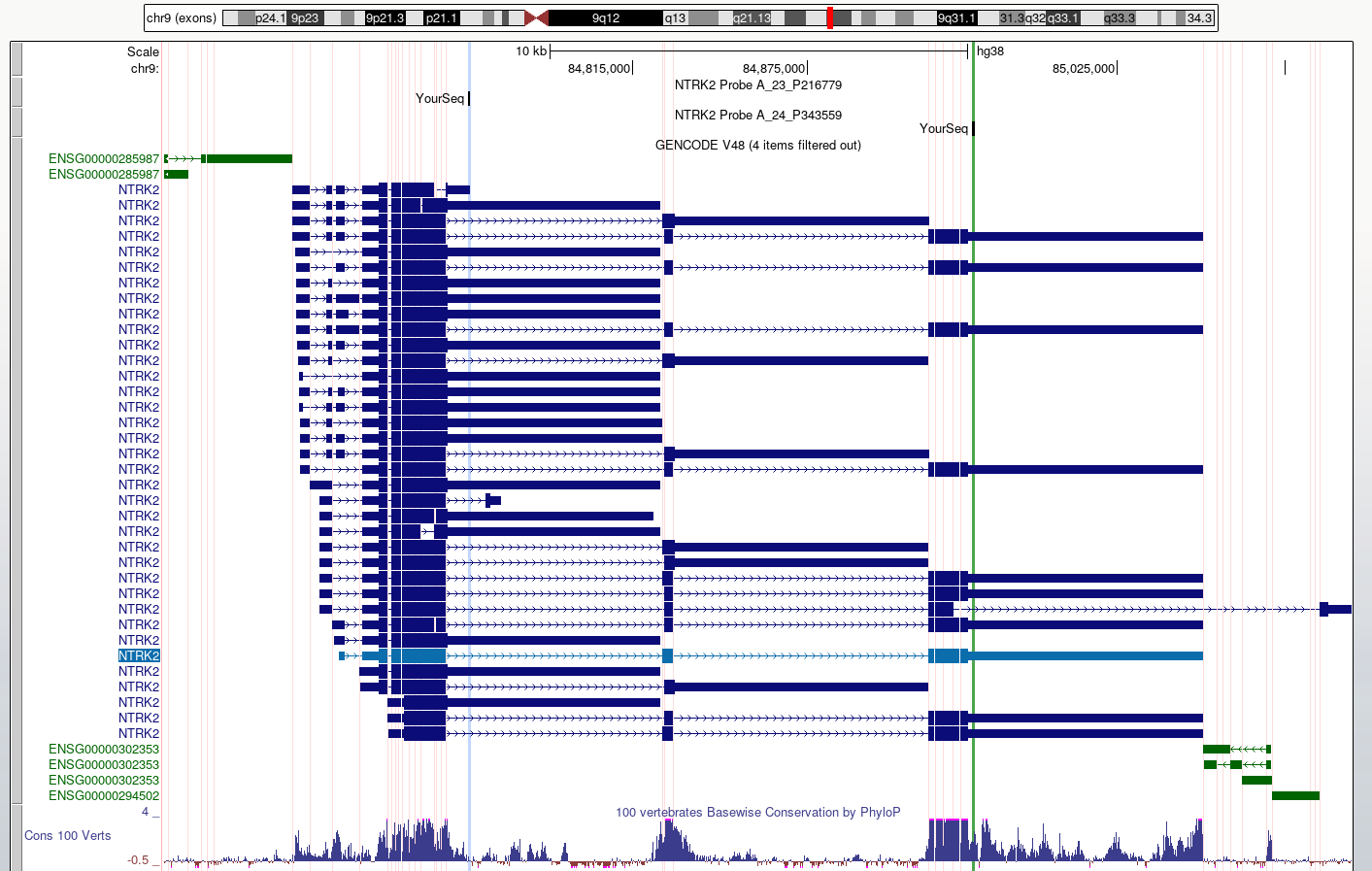 This view makes it easier to check what region of each transcript is likely to be detected by the probes